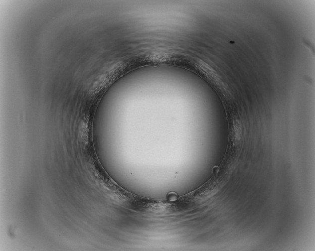 X0000101170497200807071225
