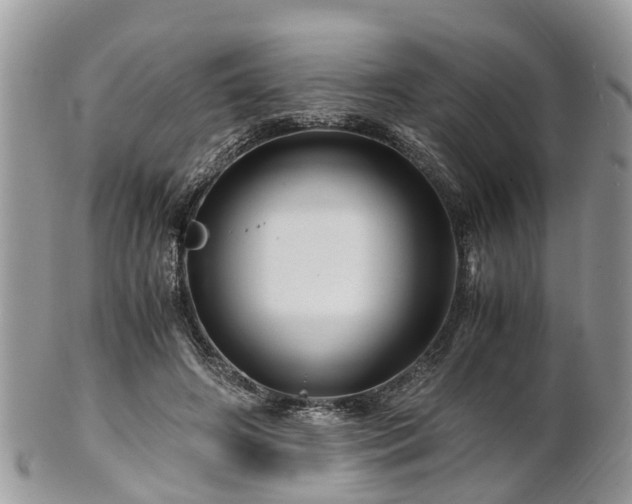 X0000101170498200807071225