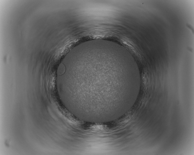 X0000101170499200807071225