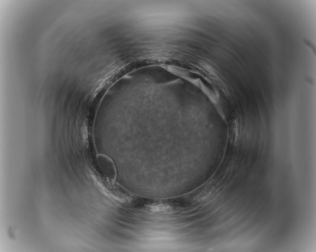 X0000101170500200807071225