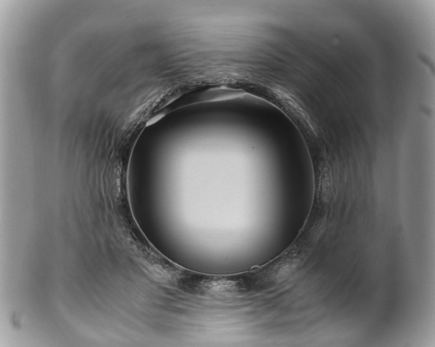 X0000101170501200807071225