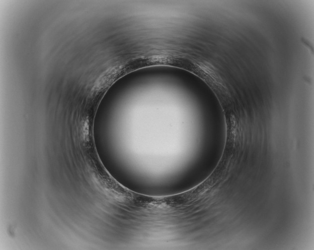 X0000101170502200807071225