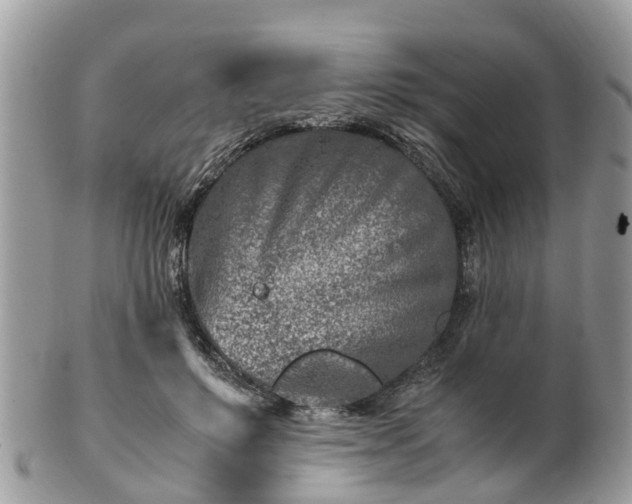 X0000101170503200807071225