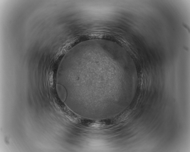 X0000101170504200807071225