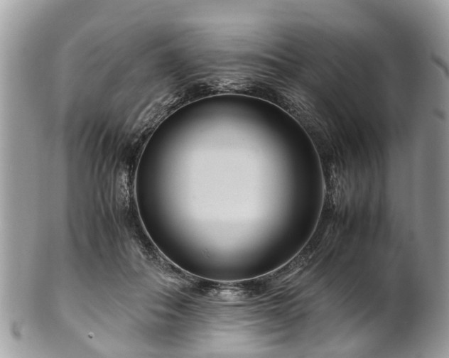 X0000101170506200807071225