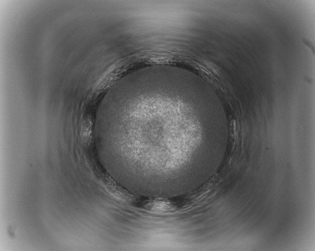 X0000101170507200807071225