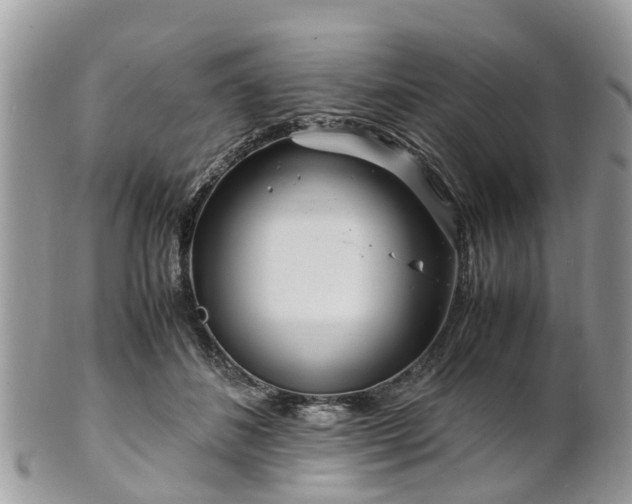 X0000101170508200807071225