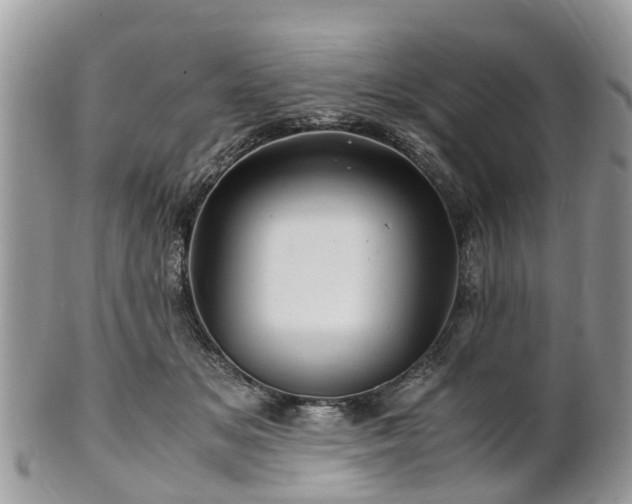 X0000101170509200807071225