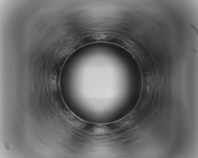 X0000101170510200807071225