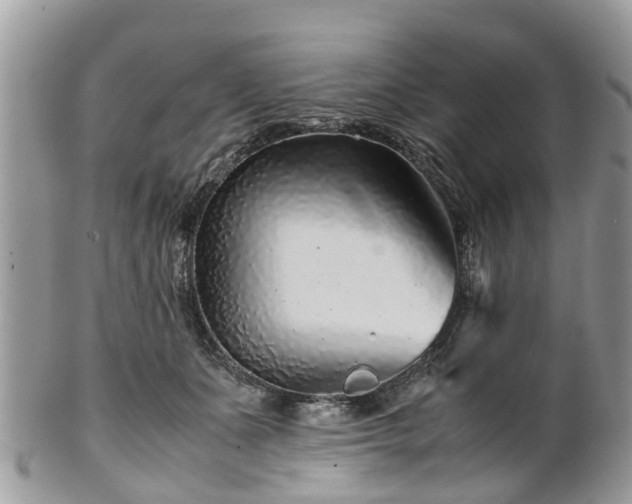 X0000101170511200807071224