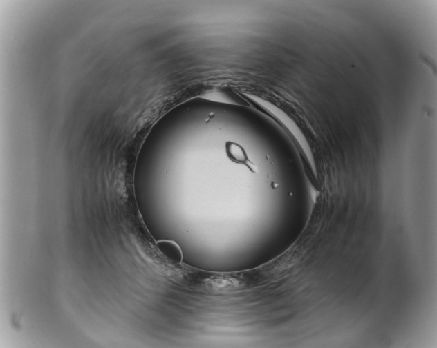 X0000101170512200807071224