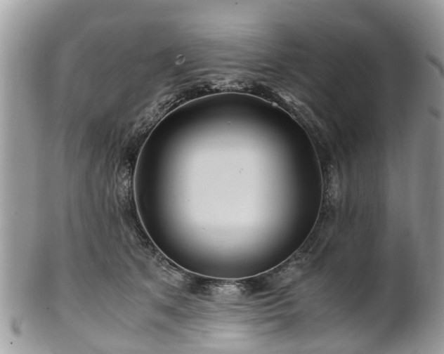 X0000101170513200807071224