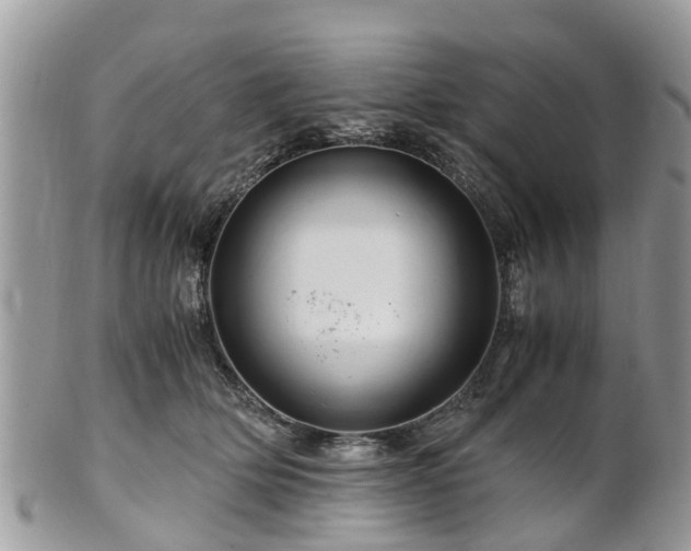 X0000101170514200807071224