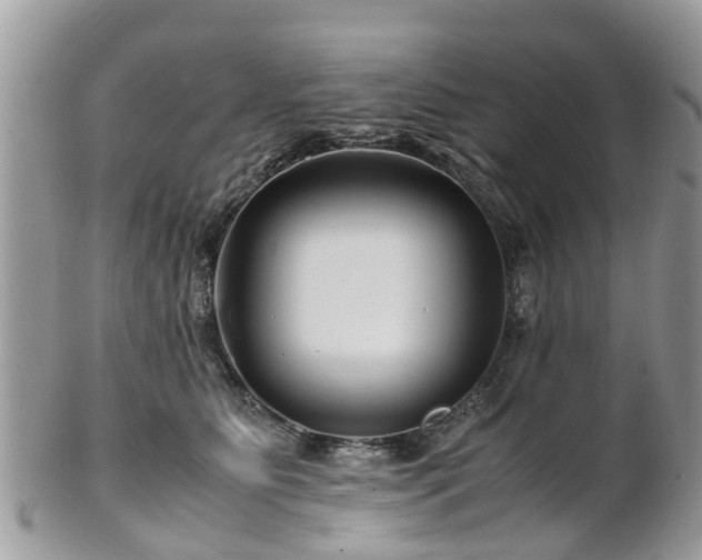 X0000101170515200807071224