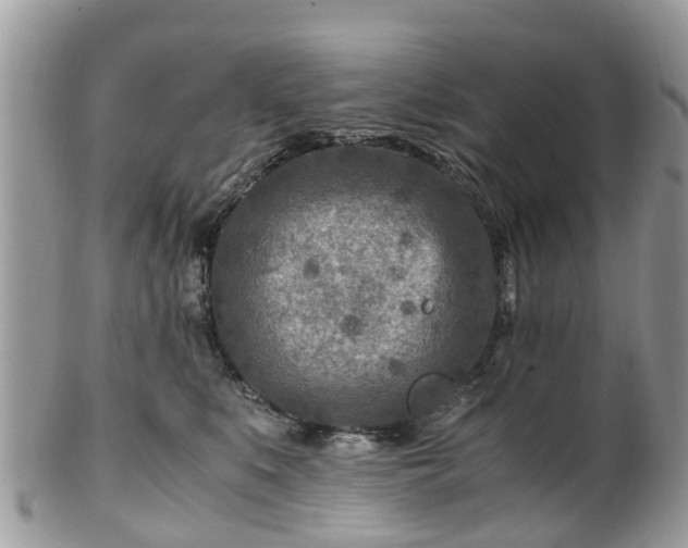 X0000101170519200807071224