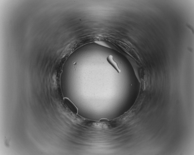 X0000101170520200807071224