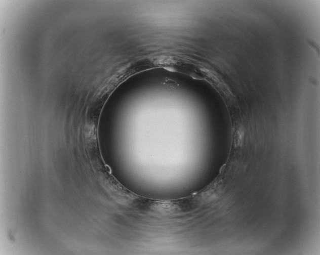 X0000101170521200807071224