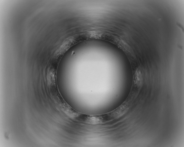 X0000101170522200807071224