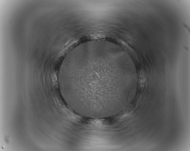 X0000101170523200807071224