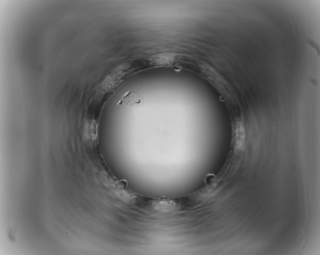 X0000101170525200807071224