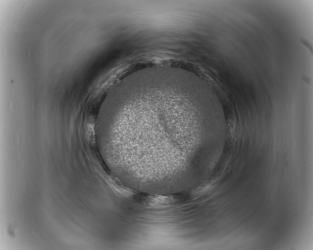 X0000101170527200807071224