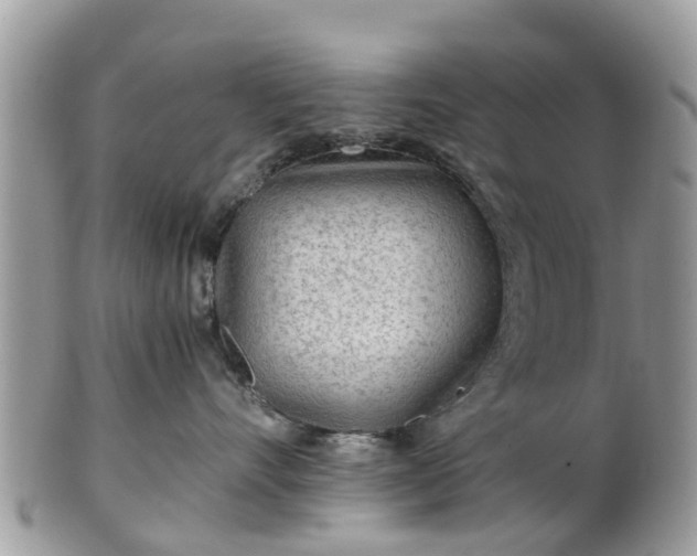 X0000101170528200807071224