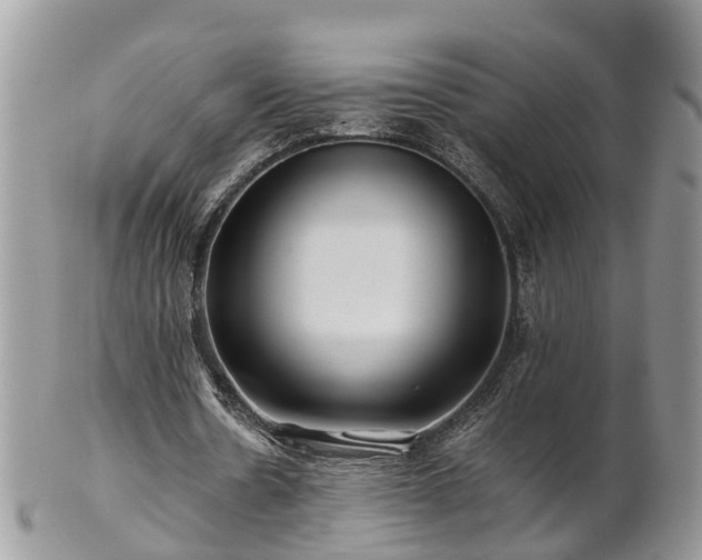 X0000101170530200807071224