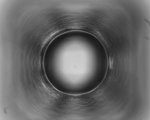 X0000101170531200807071224