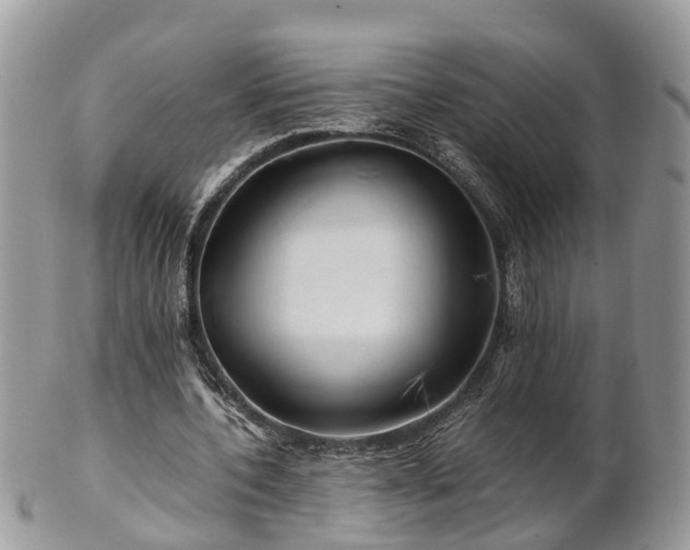 X0000101170532200807071224