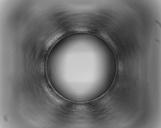 X0000101170533200807071224