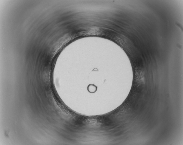 X0000101170534200807071224