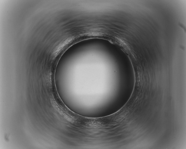 X0000101170535200807071224