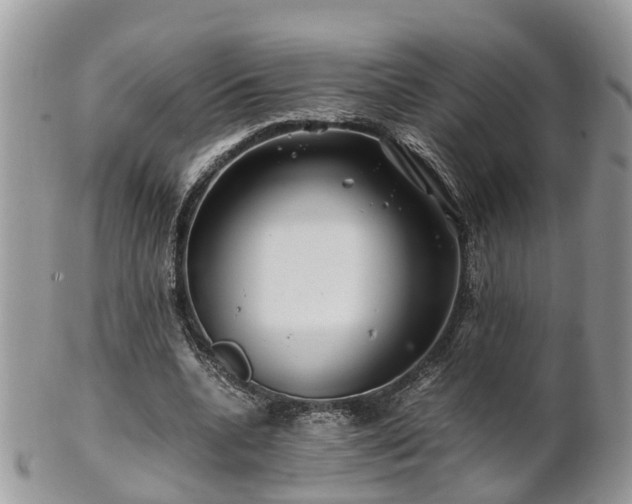 X0000101170536200807071224