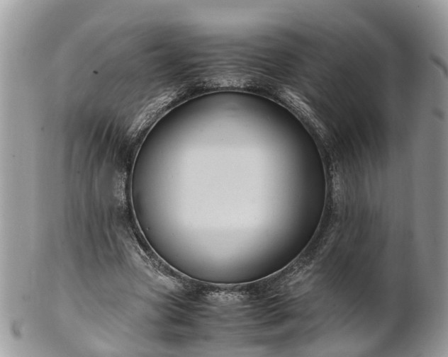 X0000101170537200807071224