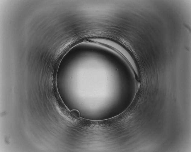 X0000101170538200807071224
