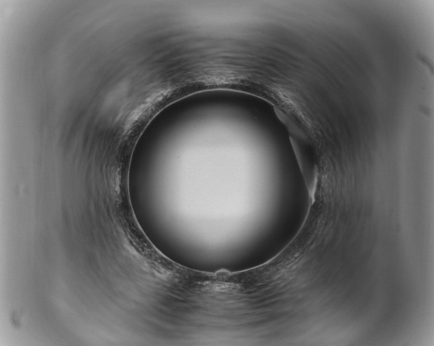 X0000101170539200807071224