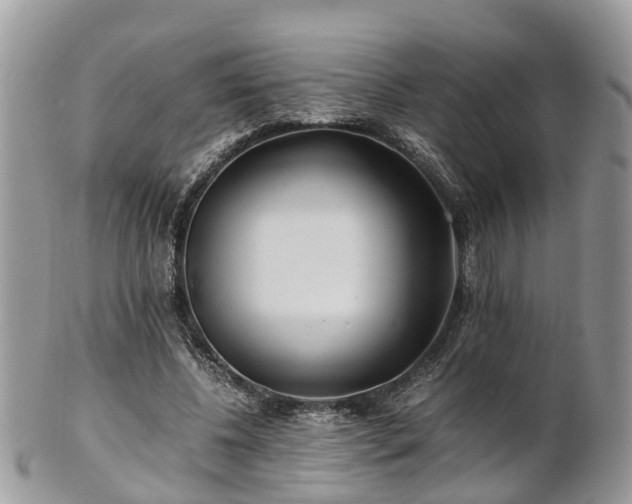 X0000101170540200807071224
