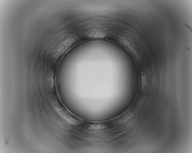 X0000101170541200807071224