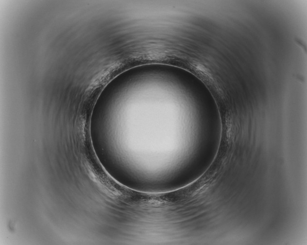 X0000101170542200807071224