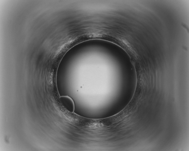 X0000101170543200807071224