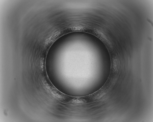 X0000101170545200807071224