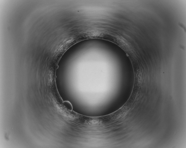 X0000101170546200807071224