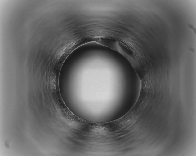 X0000101170547200807071224