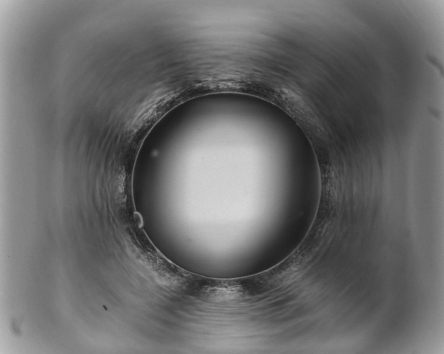 X0000101170548200807071224