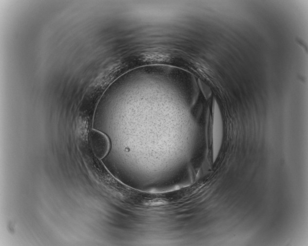 X0000101170551200807071224