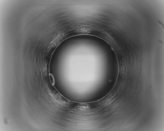 X0000101170552200807071224