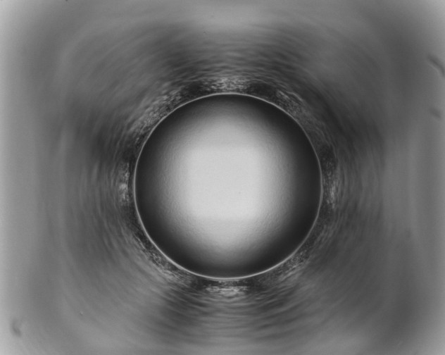 X0000101170553200807071224