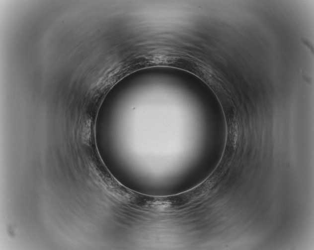 X0000101170554200807071224