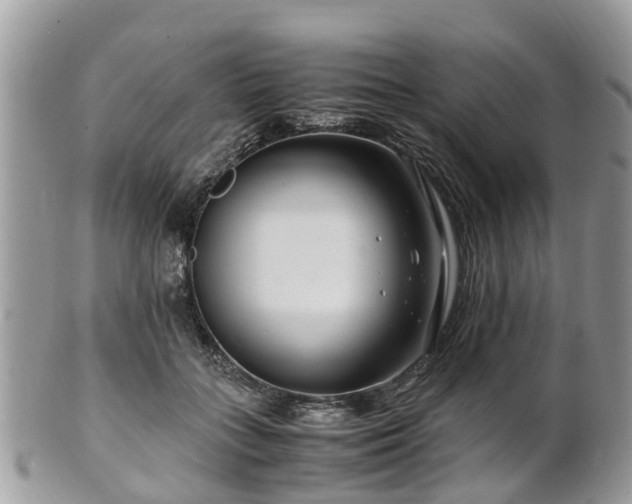 X0000101170555200807071224