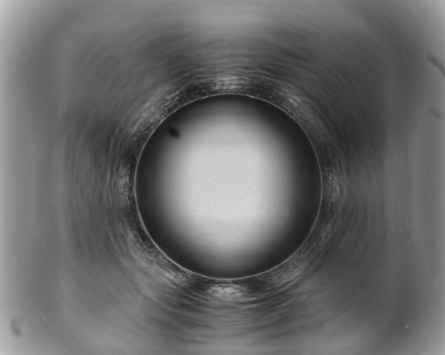 X0000101170557200807071224
